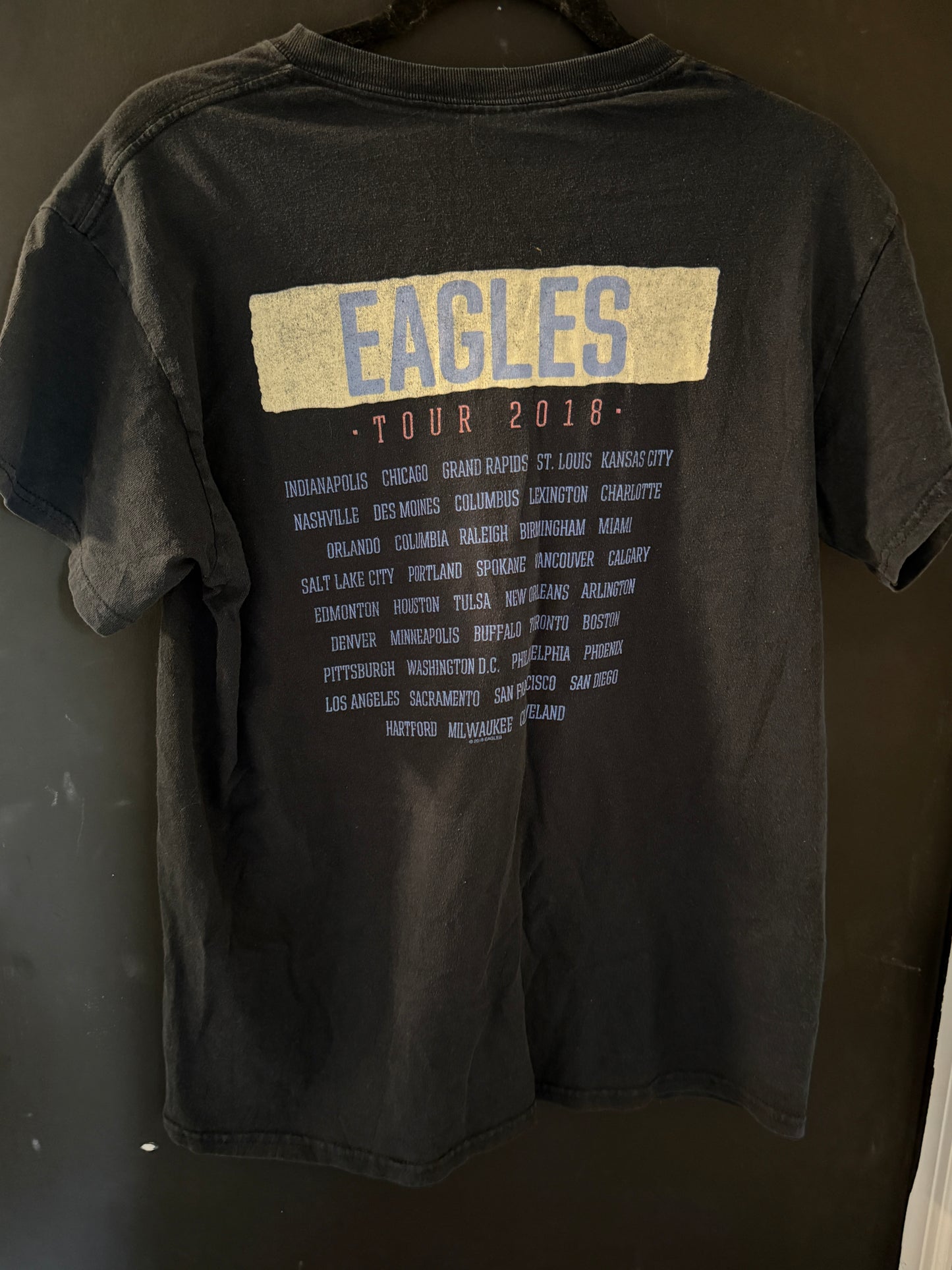 Eagles “Hotel California” Graphic Tee (Size M) – Black Licensed T-Shirt
